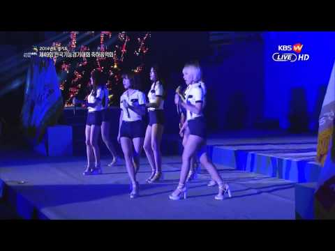 141006 제49회 전국기능경기대회 축하음악회 - AOA CUT