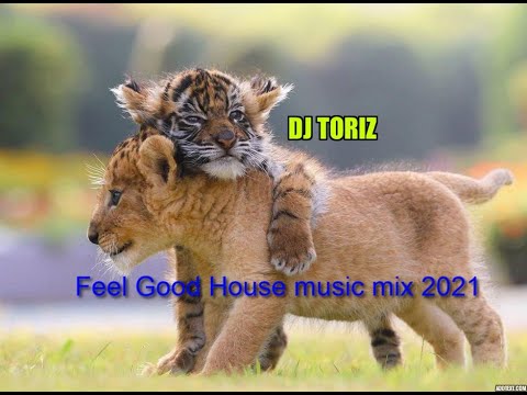Special Clubhouse Mix = dj toriz 2021....#house#soulful#deep#jackin
