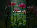 AYAT AL KURSI SURAH AL BAQARAH 255 ایات الکرسی سورہ البقرہ البقرہ البق