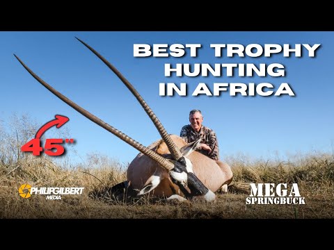 HUGE TROPHY HUNTING (45" Gemsbuck , Roan, Impala, Waterbuck)  - MEGA SPRINGBUCK EXPERIENCE