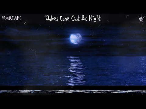 DAEGHO x NIKKO x MVRTYR - Wolves Come Out At Night (Official Visualizer)