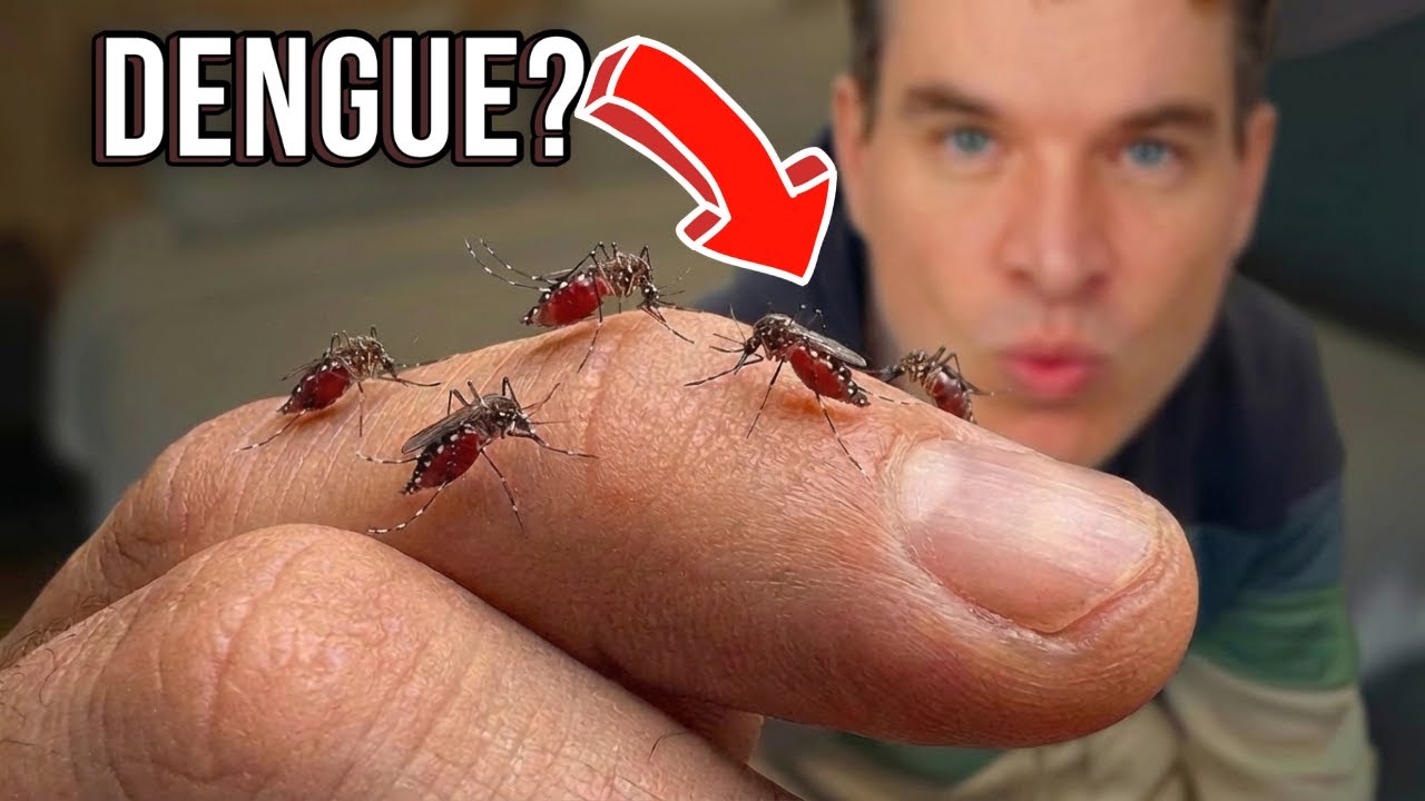 MOST DANGEROUS SYMPTOMS OF DENGUE: signs and symptoms of classic and hemorrhagic dengue