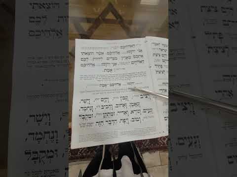 How to do morning prayer in 15 minutes!  Jewish shacharit Sephardic shortened.