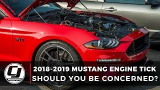 2018-2019 Mustang Tick: Should You Be Concerned?