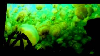 Deichkind in Münster - Intro - 09.04.2015