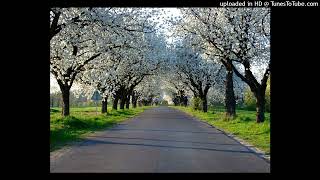 Lucian Green - Immortality Song