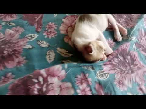 Awwww happy n sweet family😘😘