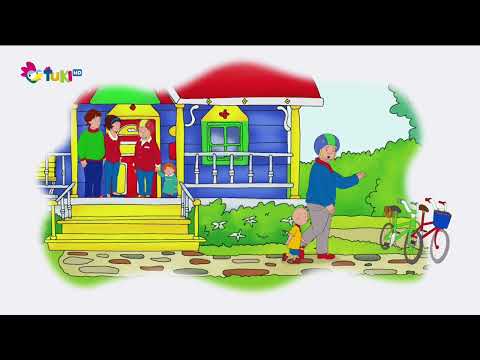 Volám sa Caillou - Čučoriedkový kopec, triedne domáce zvieratko, v záhrade