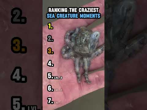 RANKING THE CRAZIEST SEA CREATURE MOMENTS