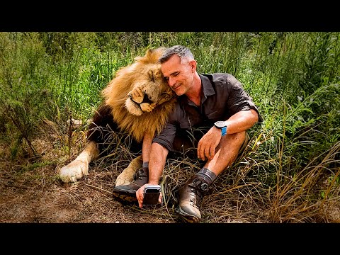 LION, LEOPARD and HYENA Reunite with Human | The Lion Whisperer