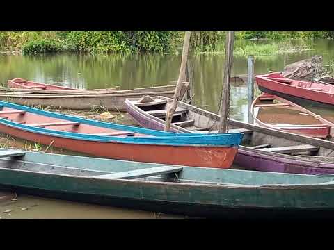 Pauini Amazonas Brasil bairro da cidade baixo cosama 