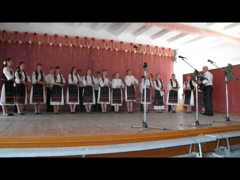 Festivalul raional de primavara 2013 (Coropceni)
