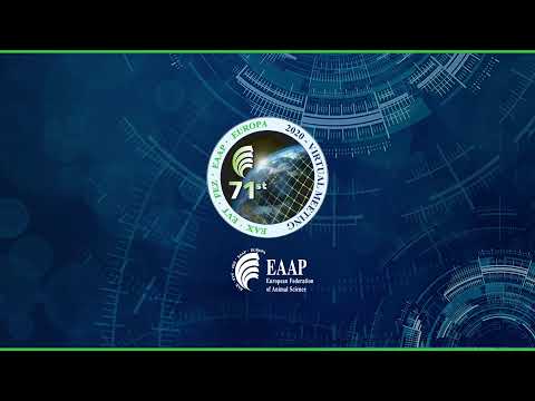 Eaap Channel Live Stream