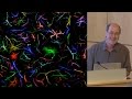 Ben Barres (Stanford) 1: What do reactive astrocytes do?
