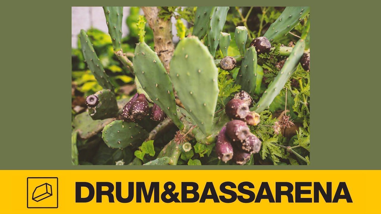 Need For Mirrors - Ultra Violin