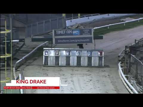 King Drake - BGBF British Bred Derby - Heat 5