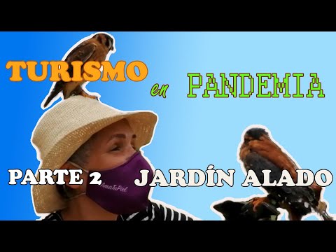 Turismo en Pandemia Parte 2 : El Jardín Alado