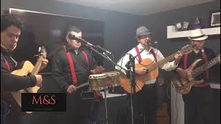 Video de M&S Músicos y Serenatas