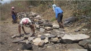 Ecological Restoration on Degraded lands