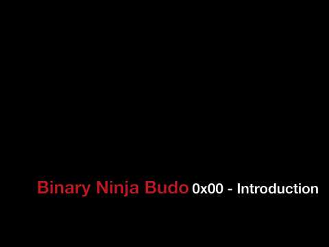 Binary Ninja Budo 0x00 Introduction