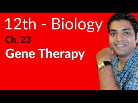 FSc Biology Book 2, Gene Therapy - Ch 23 Biotechnology - 12th Class Biology