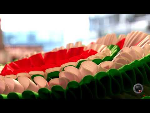 ENCI Winner 2018 - Highlights
