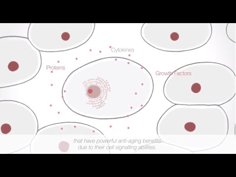 Ever wondered why you need stem cells for healthy, youthful skin