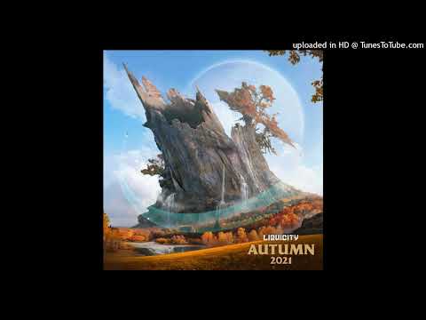 Feint - Starseed feat Leah Rye (Rameses B Remix) [Liquicity Records]