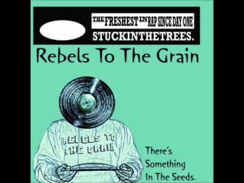 Rebels To the Grain - Let's Take It Back (2008)