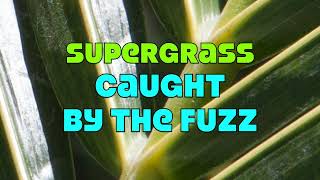 Supergrass - Caught by the Fuzz (with Lyrics)