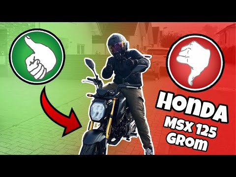 HONDA Grom Testfahrt – Kleines Bike, großer Fahrspaß!