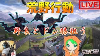 【荒野行動】野良とドン勝目指します！【ライブ配信】-アーカイブ-