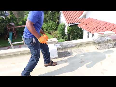 Cowleys Bends Over Backwards to Make You Happy - says Neil