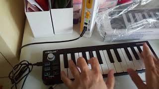 Video thumbnail for Worlde Easykey 25 Keyboard Controller Unboxing & Test by Emirsyah Nasution