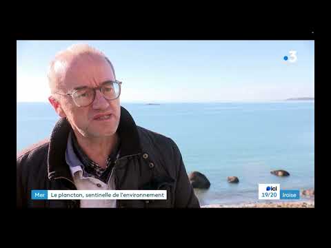 Reportage France 3 Iroise - Colloque régional "Le plancton face au dérèglement climatique" 28/11/23