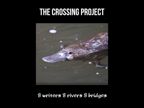 The Crossing Project by Paul Shields — Trailer