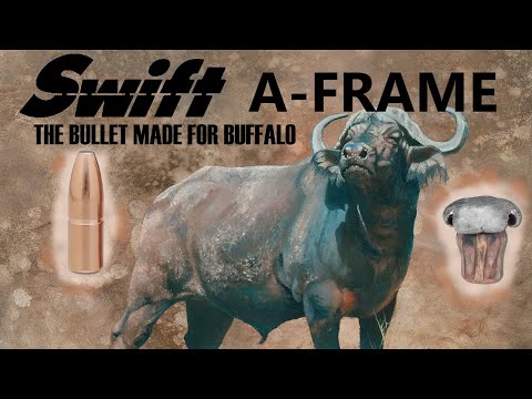 SWIFT A-FRAME: The bullet made for Buffalo