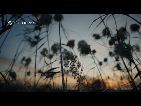 It’s not about what technology can do anymore, but what it should - software and digital engineering