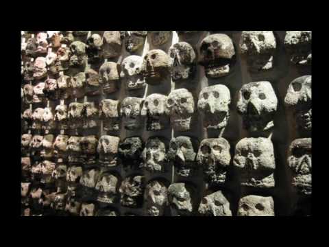 Crazy Roy /Tierra fresca