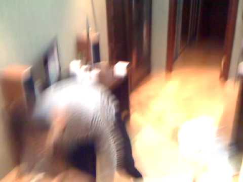 Bazooka Boom - Sektor Gaza