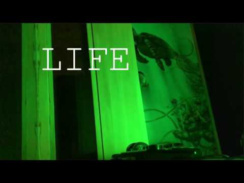 Life (Cover of Thorsen [Thor Mikkelsen])