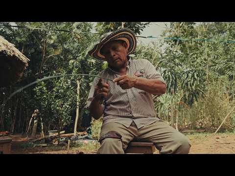 TUCHÍN, CÓRDOBA | La Cuna del Sombrero Vueltiao 🧡 Turismo y Artesanía en Colombia