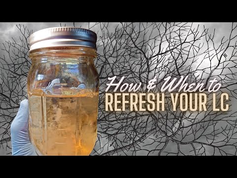 REFRESH🍄LIQUID CULTURE, How and When