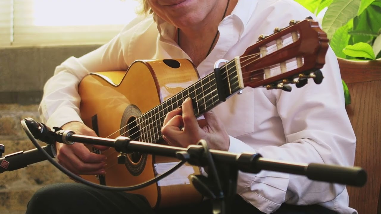 Promotional video thumbnail 2 for Martin Metzger ~ Solo, Duo and Ensemble