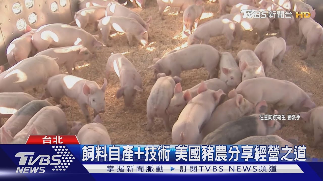 自然循環、系統化生產 把關豬隻品質