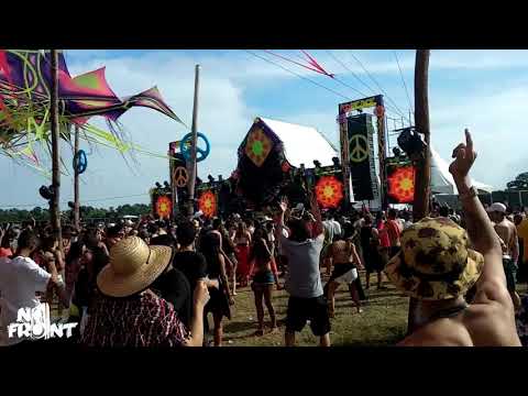 Capital Monkey @ Equilibrium Woodstock