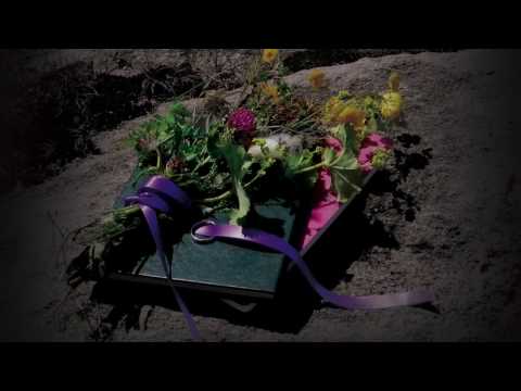 Paradise Girl Book Trailer