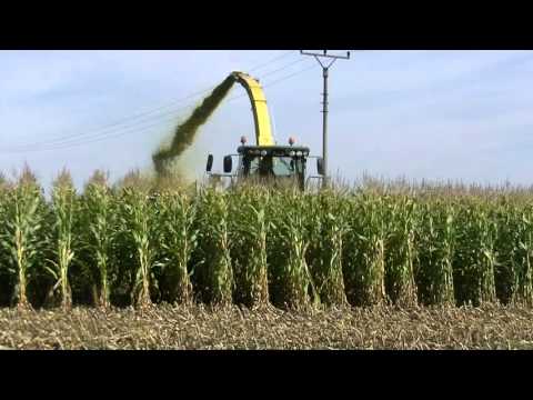 Sklizeň Kukuřice Agrona Staré Město 2