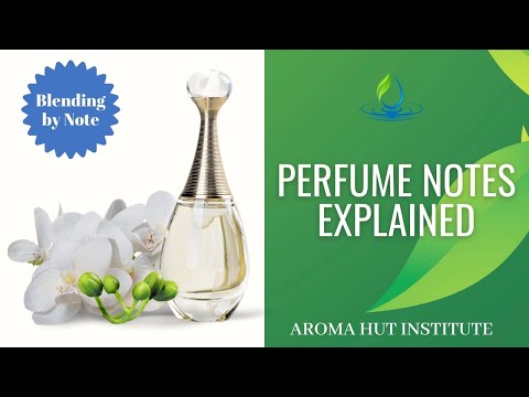YouTube video about: What is a top note in perfume?