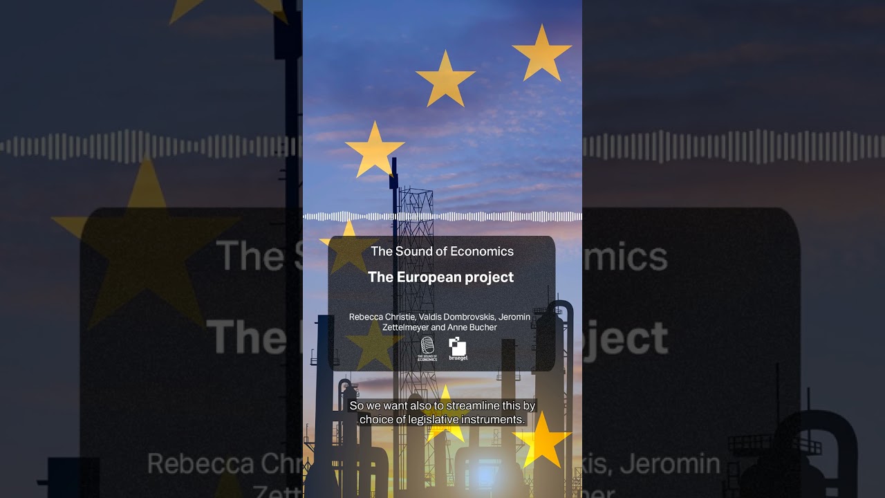 The European Project